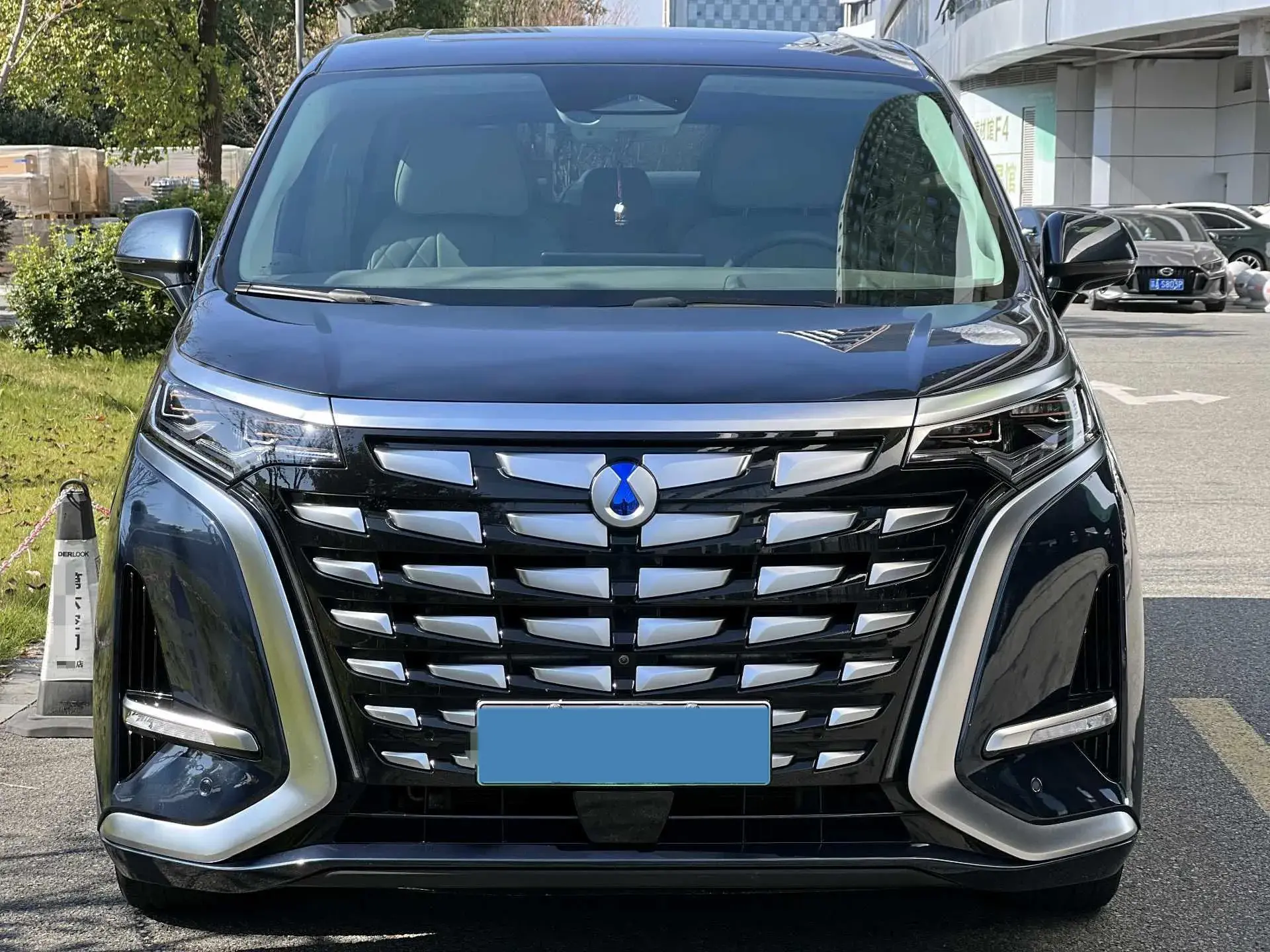 2022 DENZA D9 thumbnail 2