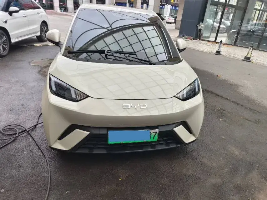 2025 BYD SEAGULL thumbnail 2