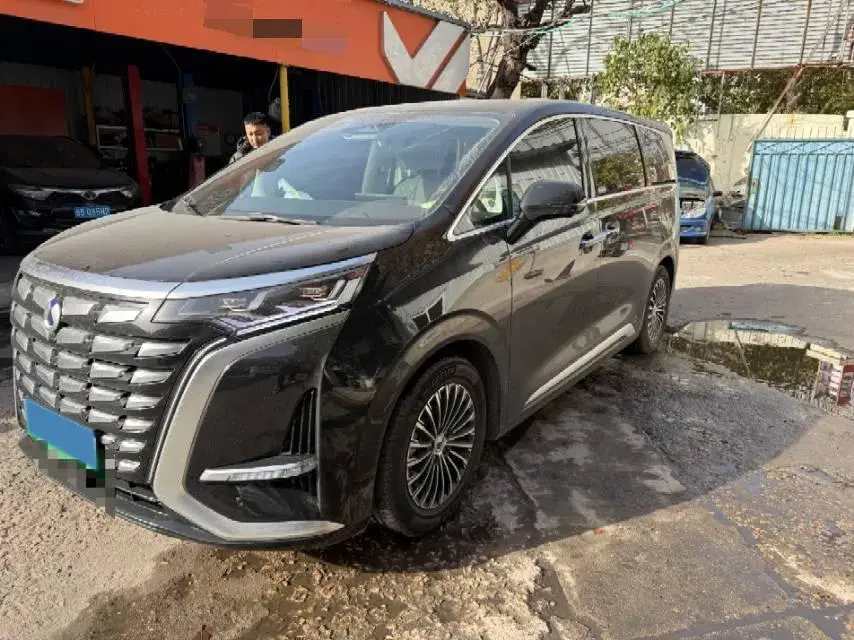 2024 DENZA D9 view 1