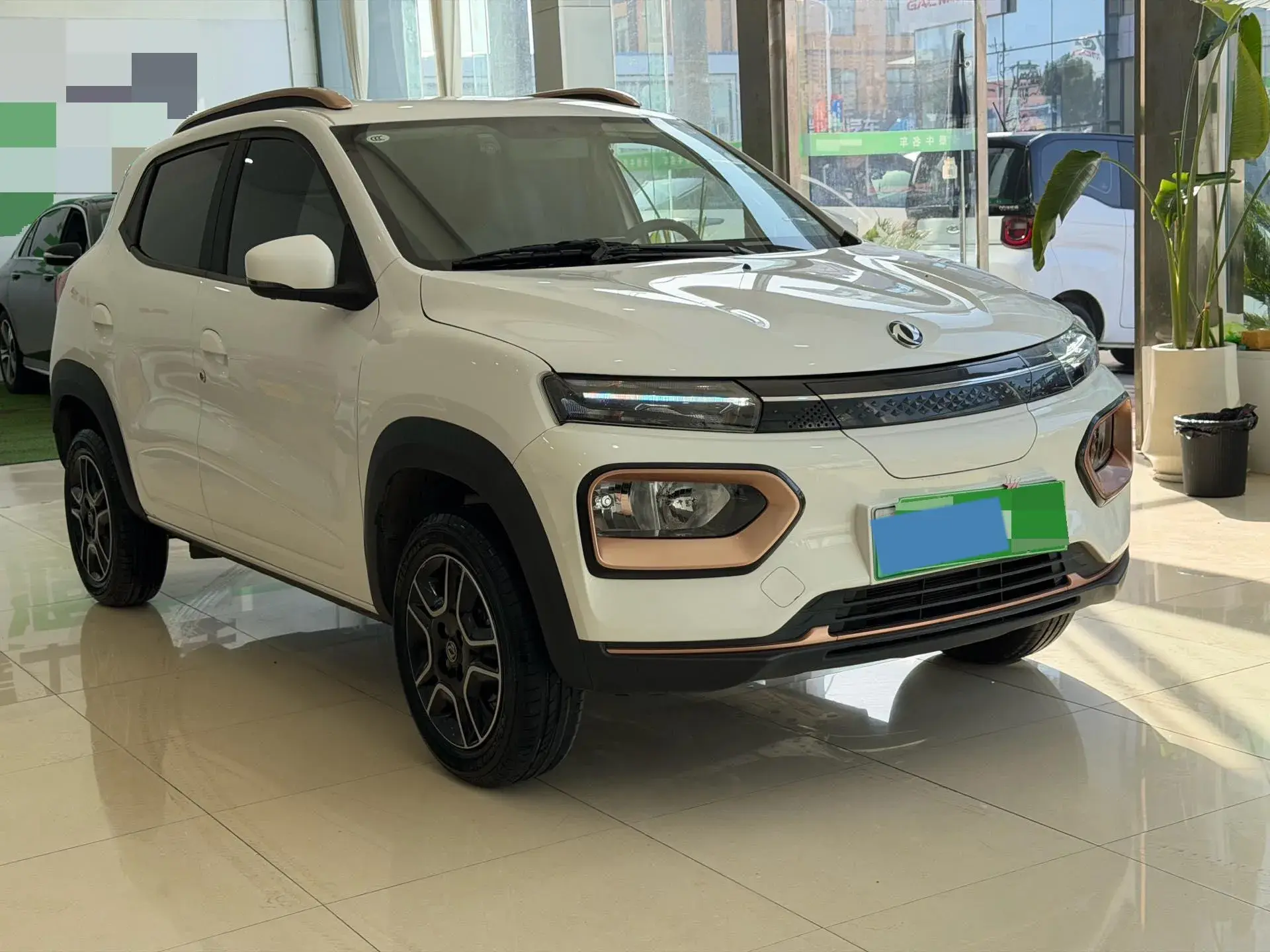 2022 DONGFENG NAMMI thumbnail 3