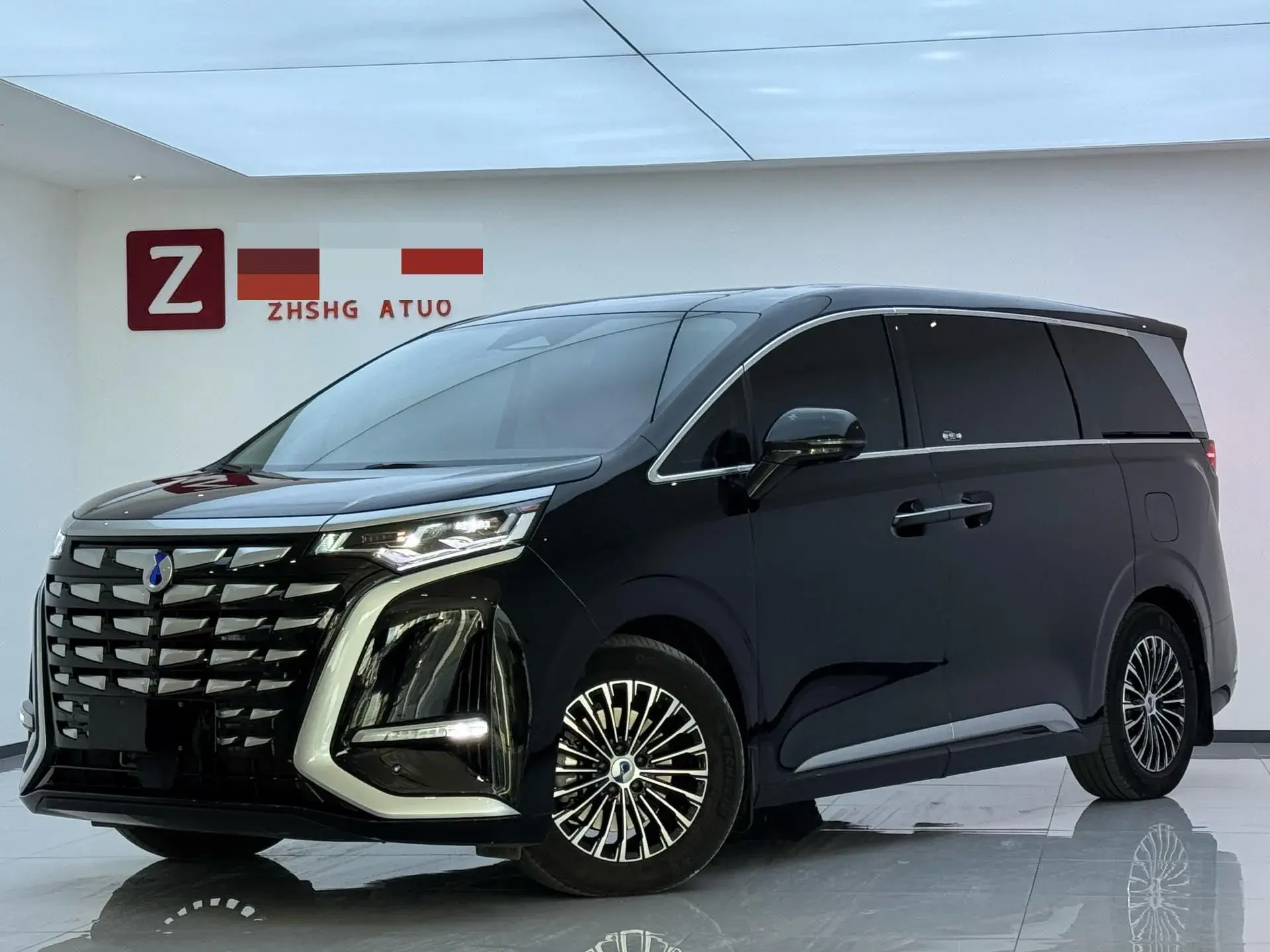 2022 DENZA D9 view 1