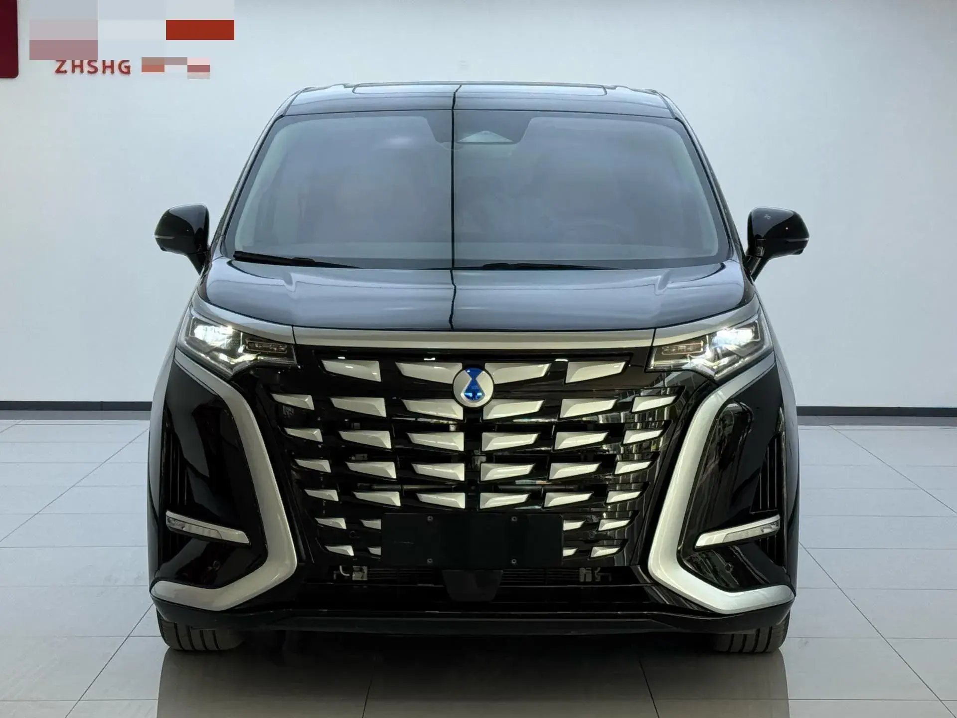 2022 DENZA D9 thumbnail 2