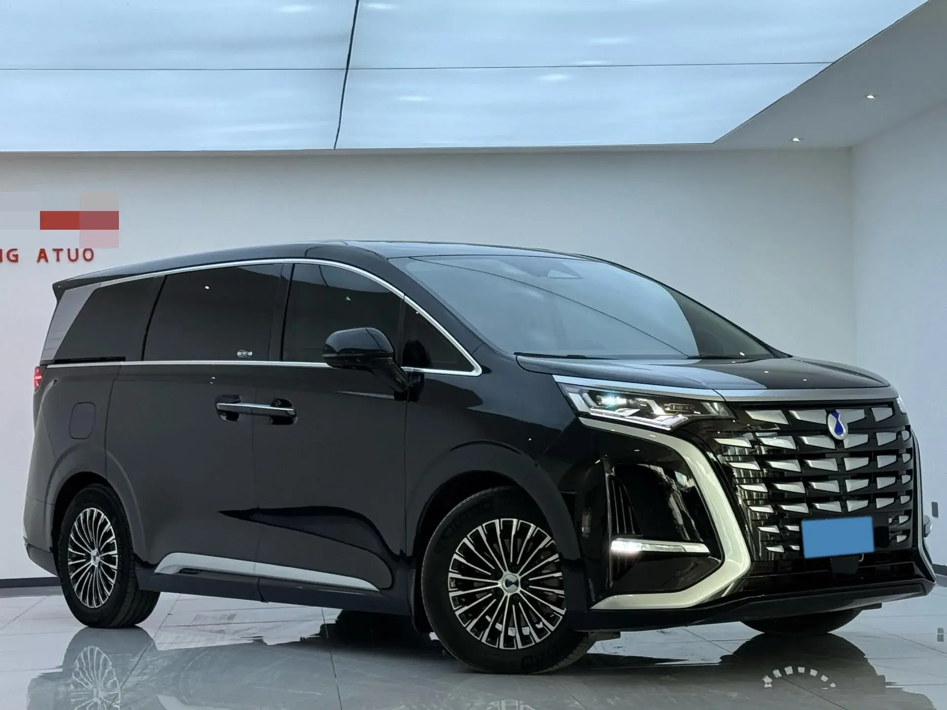 2022 DENZA D9 thumbnail 3