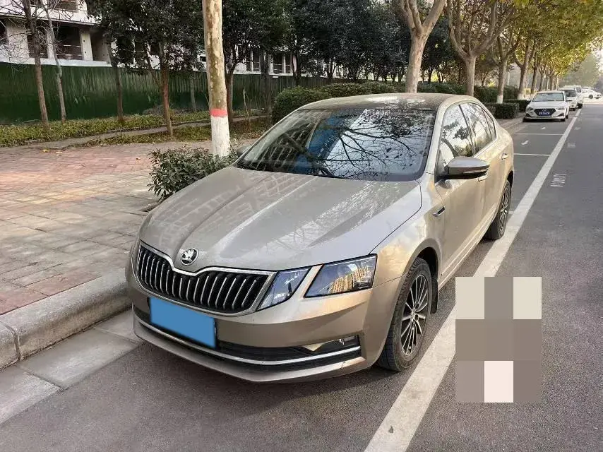 2019 SKODA OCTAVIA view 1