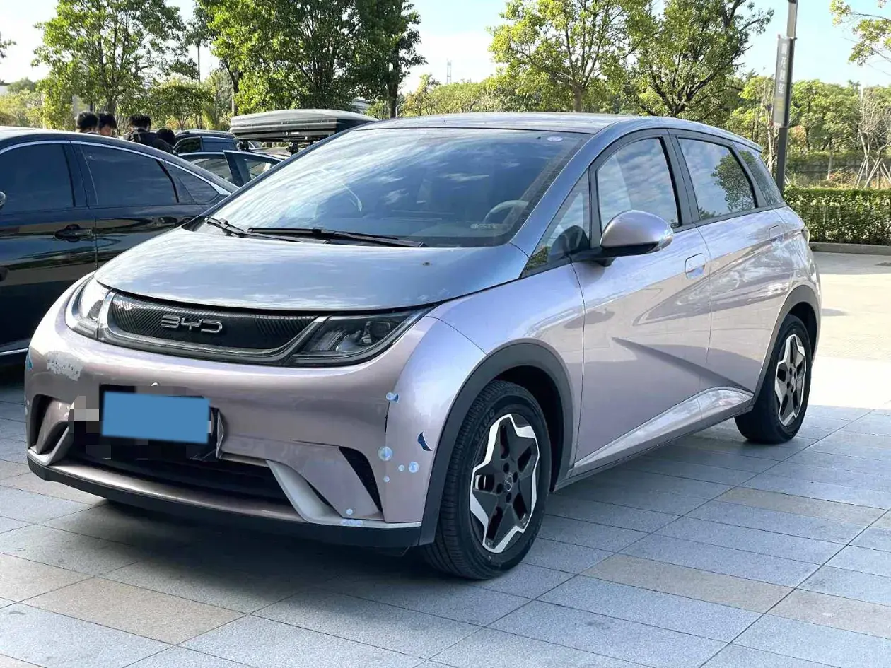 2021 BYD DOLPHIN view 1