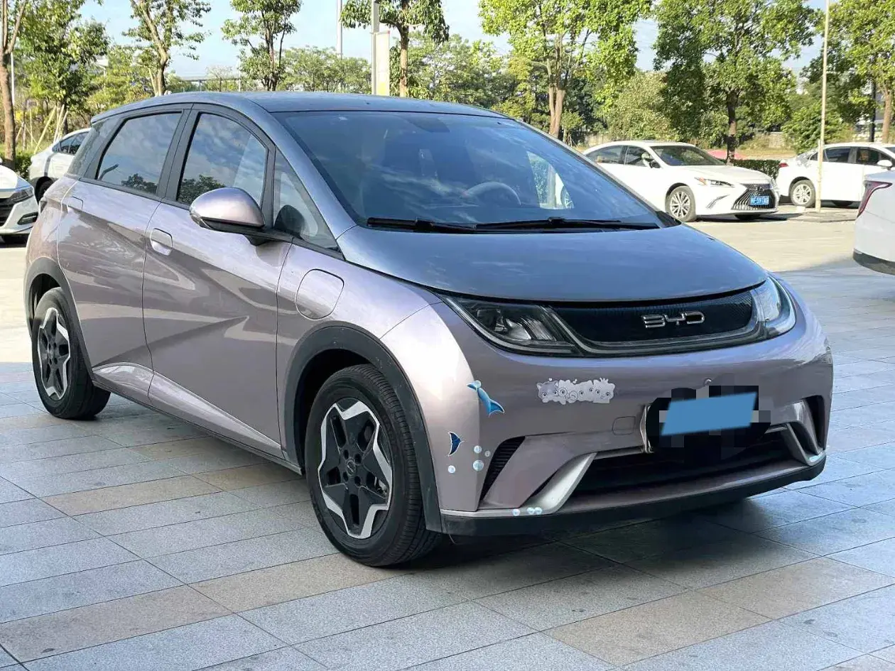 2021 BYD DOLPHIN thumbnail 3