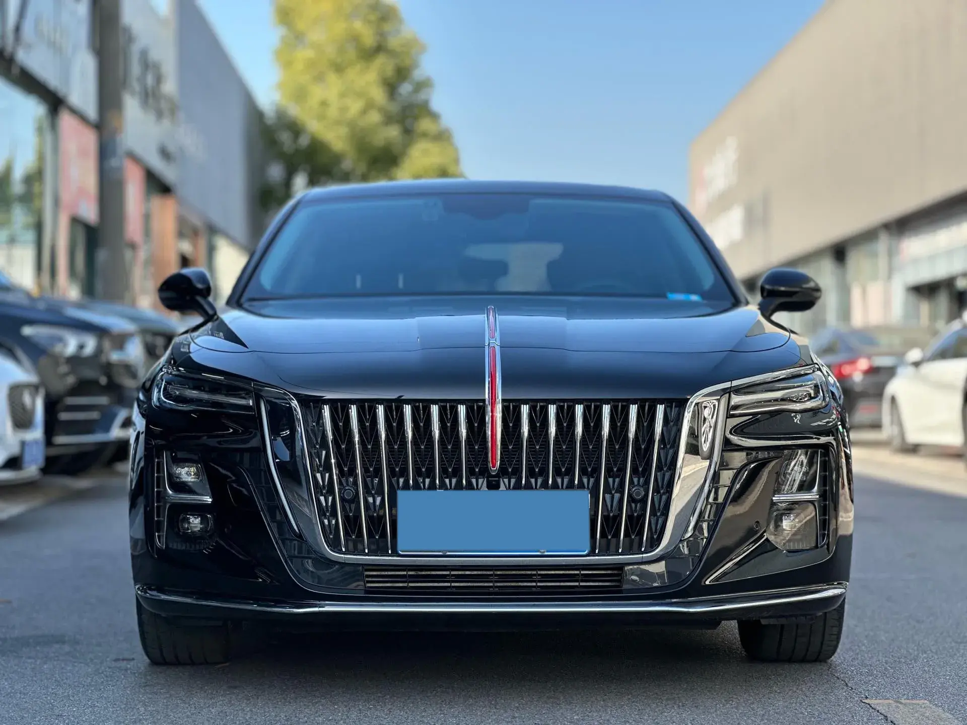 2024 HONGQI H5 thumbnail 2