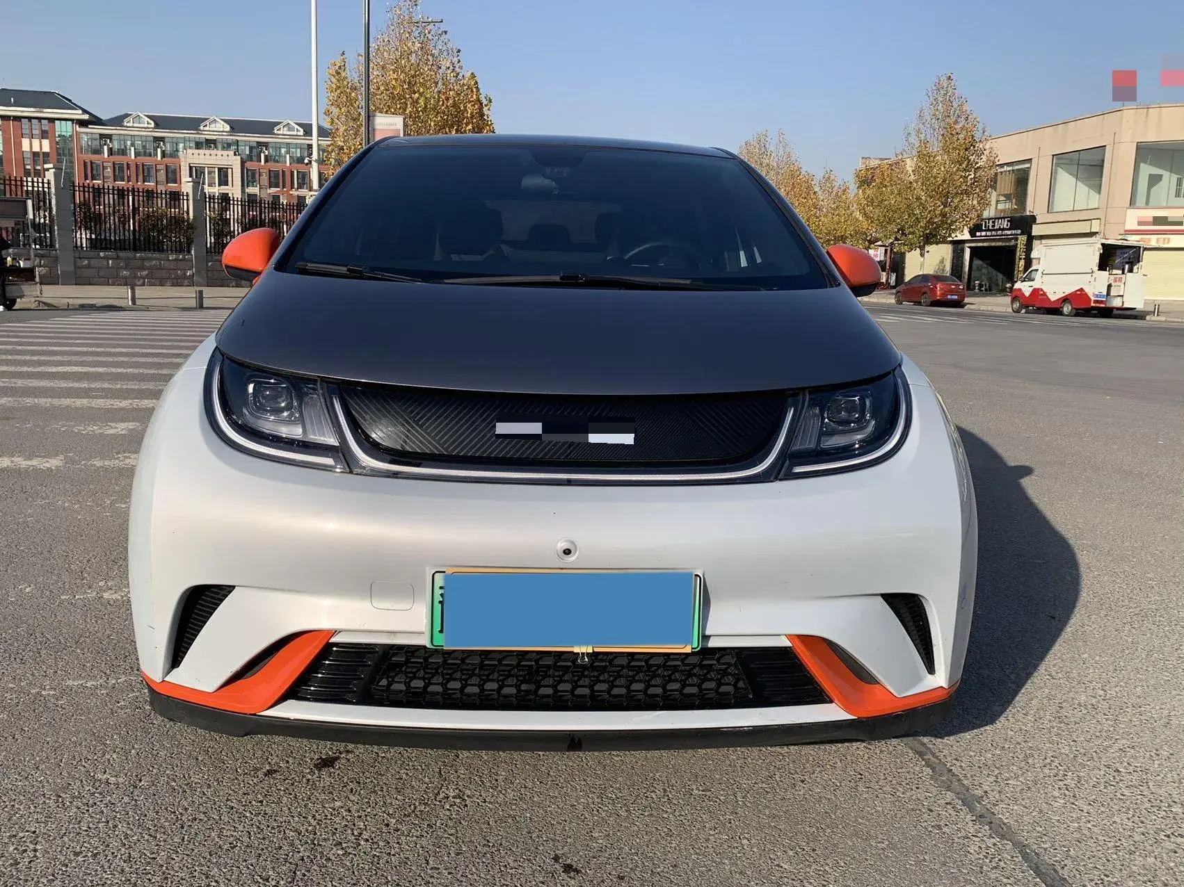 2021 BYD DOLPHIN thumbnail 2