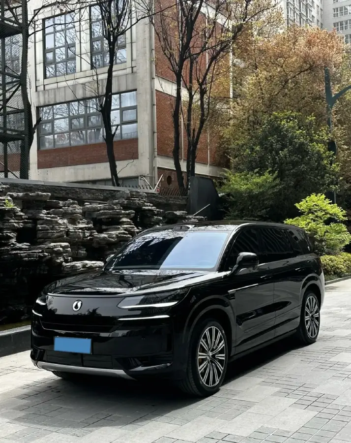 2025 Denza DenzaN9 2.0T 207HP L4 E-CVT PHEV