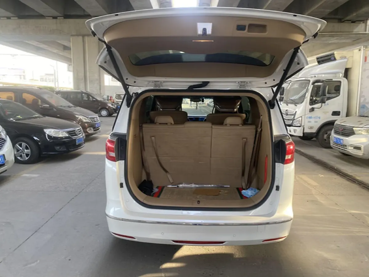 2018 Buick GL8 2.0T 260HP L4 6AT,autocango,china used car exporter,china ev exporter,chinese used car exporter,chinese used ev exporter