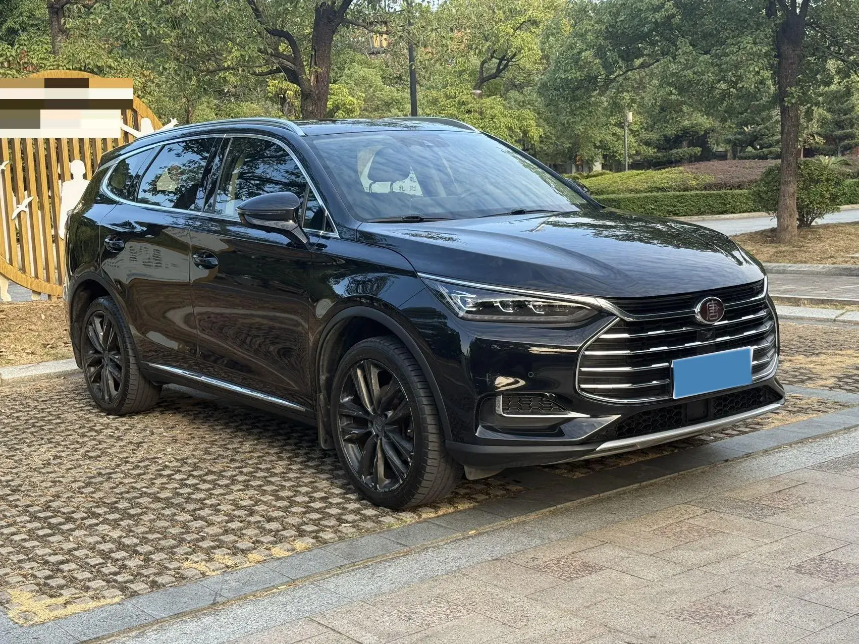 2018 BYD TANG thumbnail 3