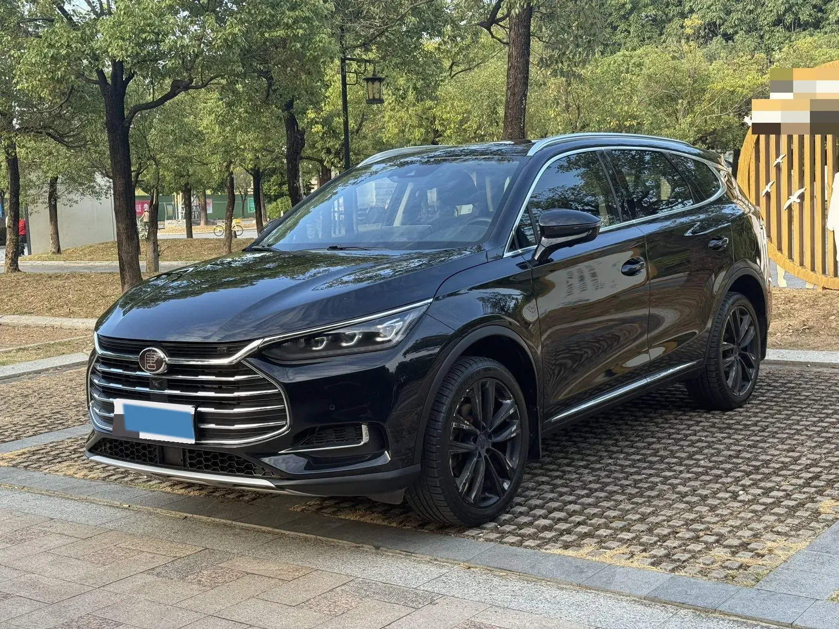 2018 BYD TANG view 1