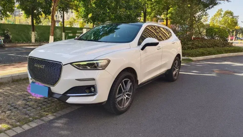 2019 Haval F5 1.5T 169HP L4 7DCT