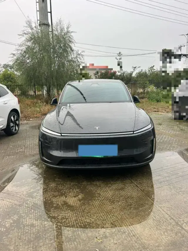 2025 TESLA MODEL thumbnail 2