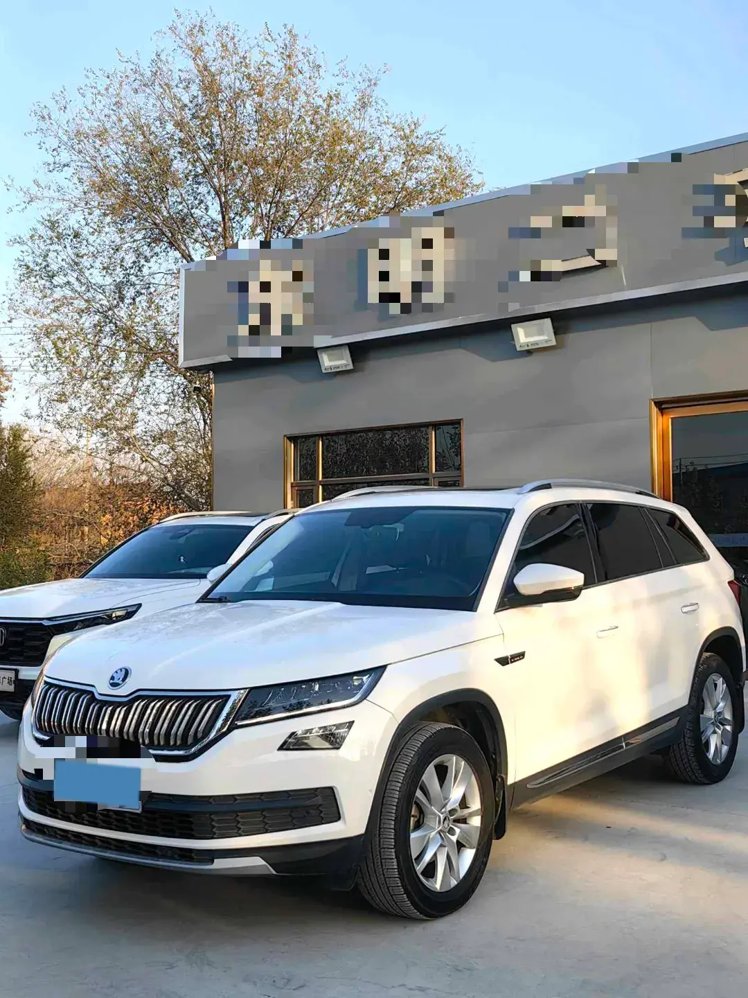2019 SKODA KODIAK view 1