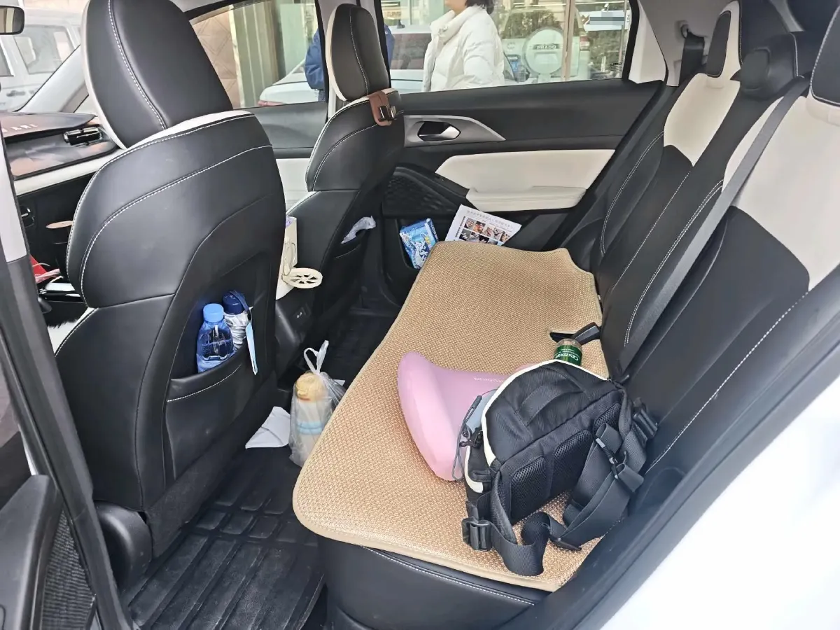 2024 Geometry E BEV 39.3KWH,autocango,china used car exporter,china ev exporter,chinese used car exporter,chinese used ev exporter