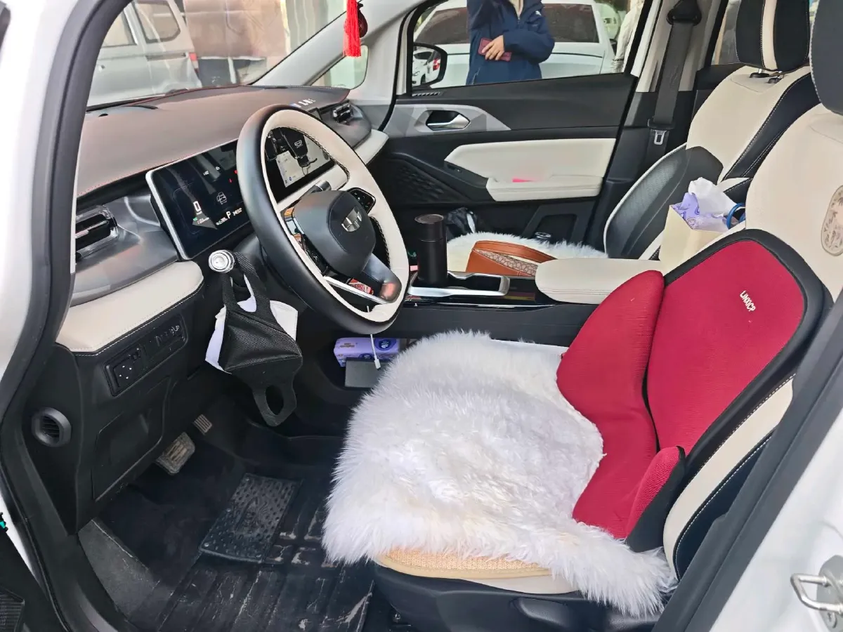 2024 Geometry E BEV 39.3KWH,autocango,china used car exporter,china ev exporter,chinese used car exporter,chinese used ev exporter