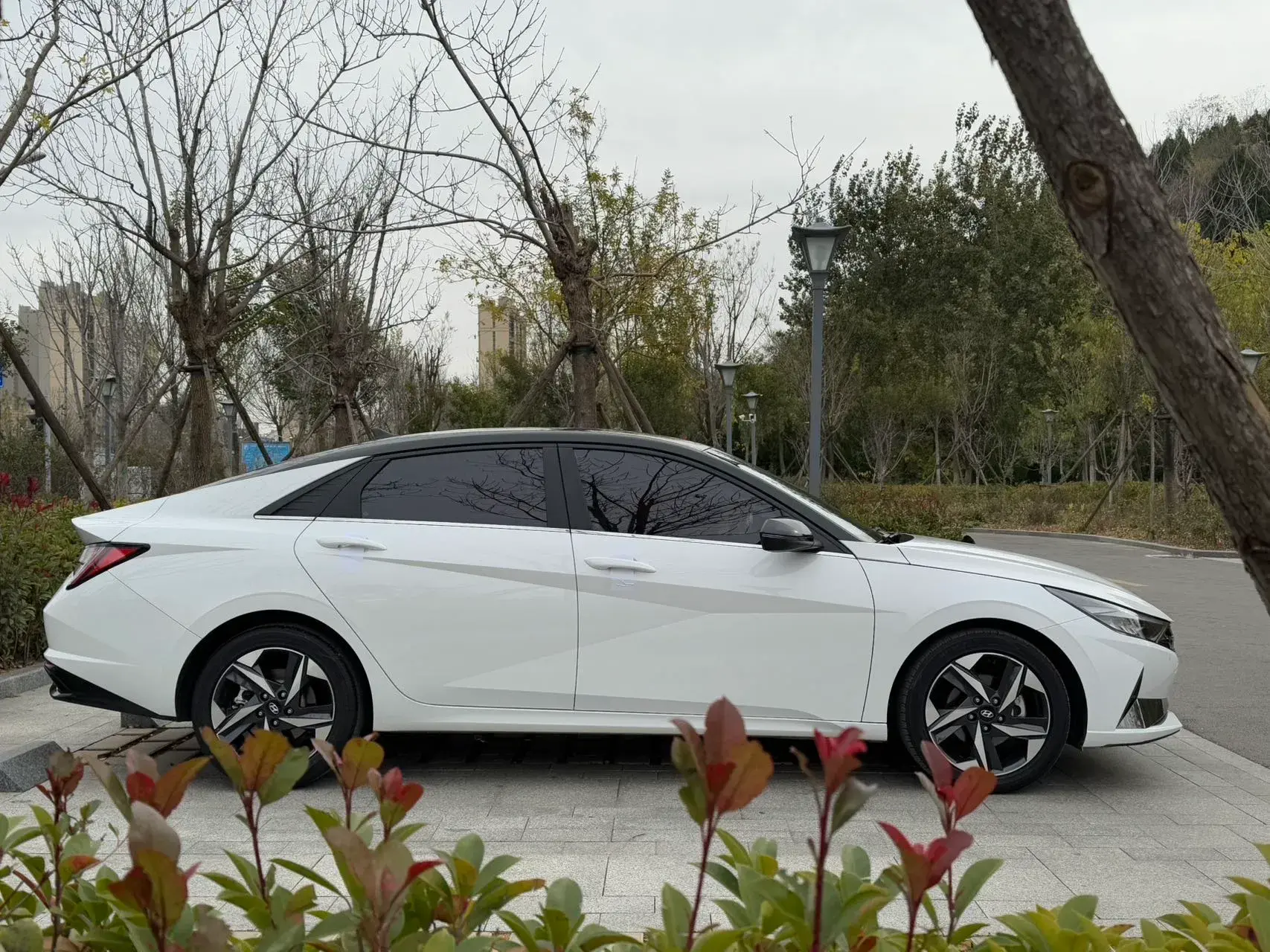 2022 HYUNDAI ELANTRA thumbnail 4