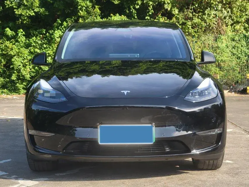 2021 TESLA MODEL thumbnail 2