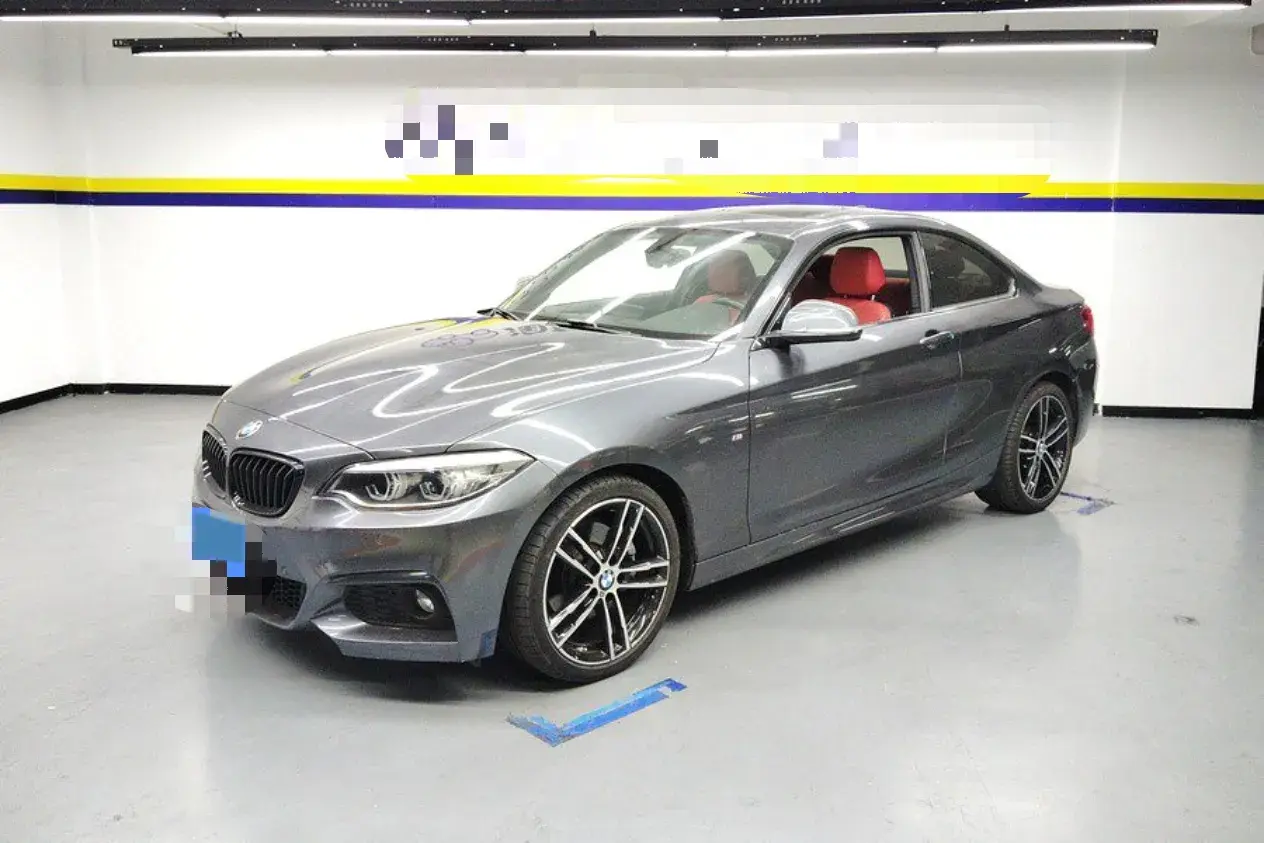 2019 BMW 2 Series 2.0T 184HP L4 8AT
