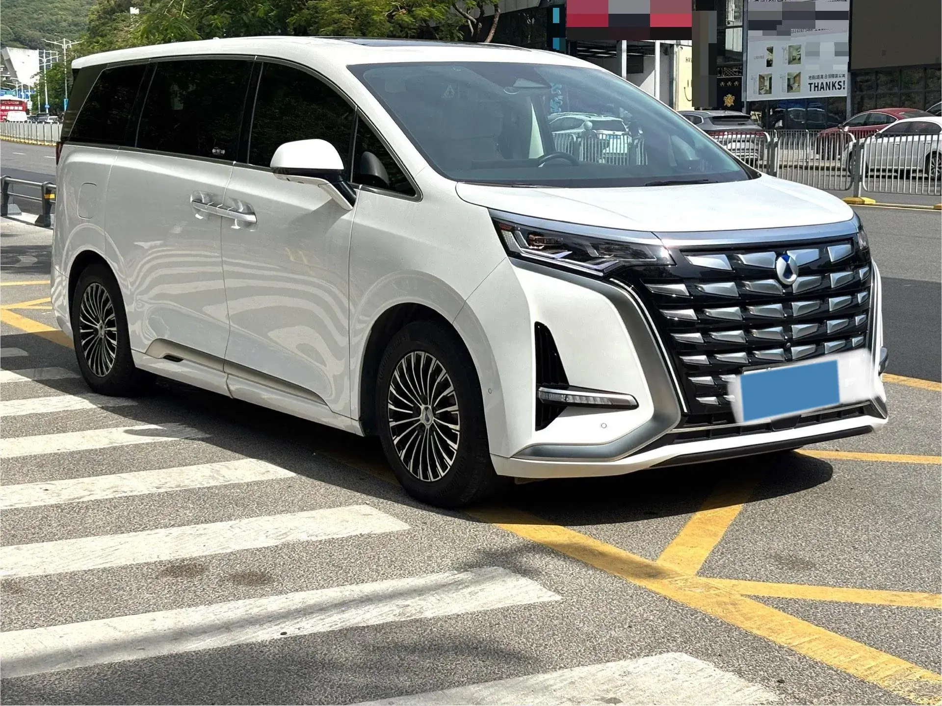 2024 DENZA D9 thumbnail 2