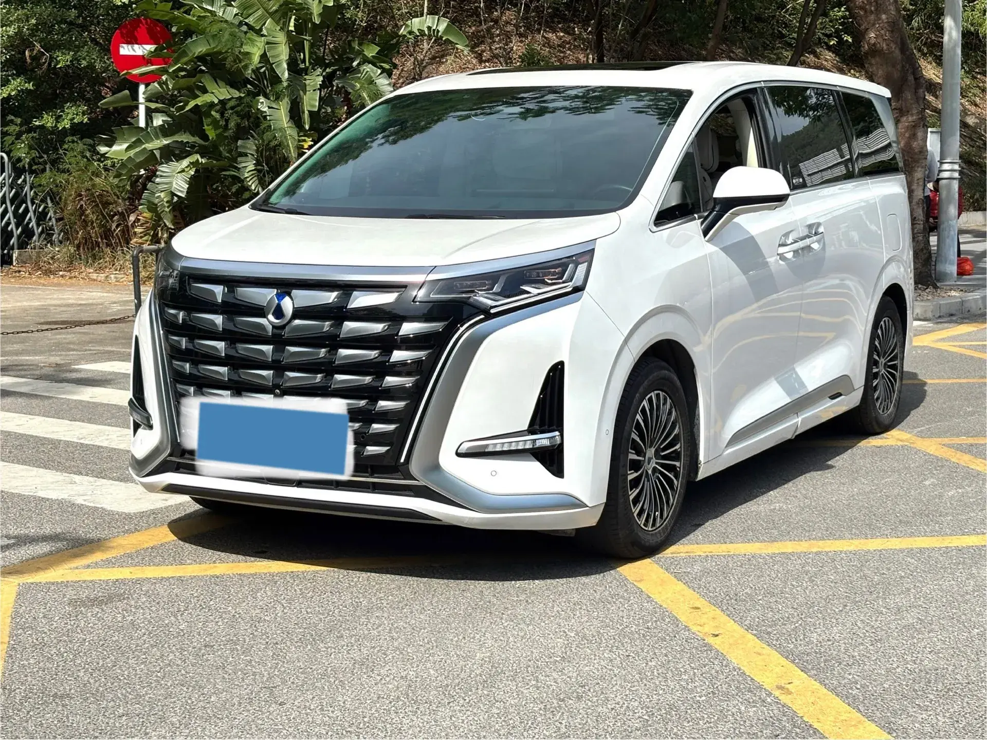 2024 DENZA D9 view 1