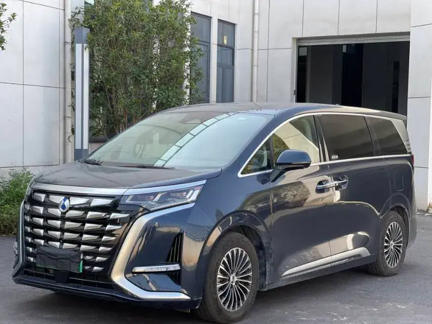 2022 DENZA D9 view 1