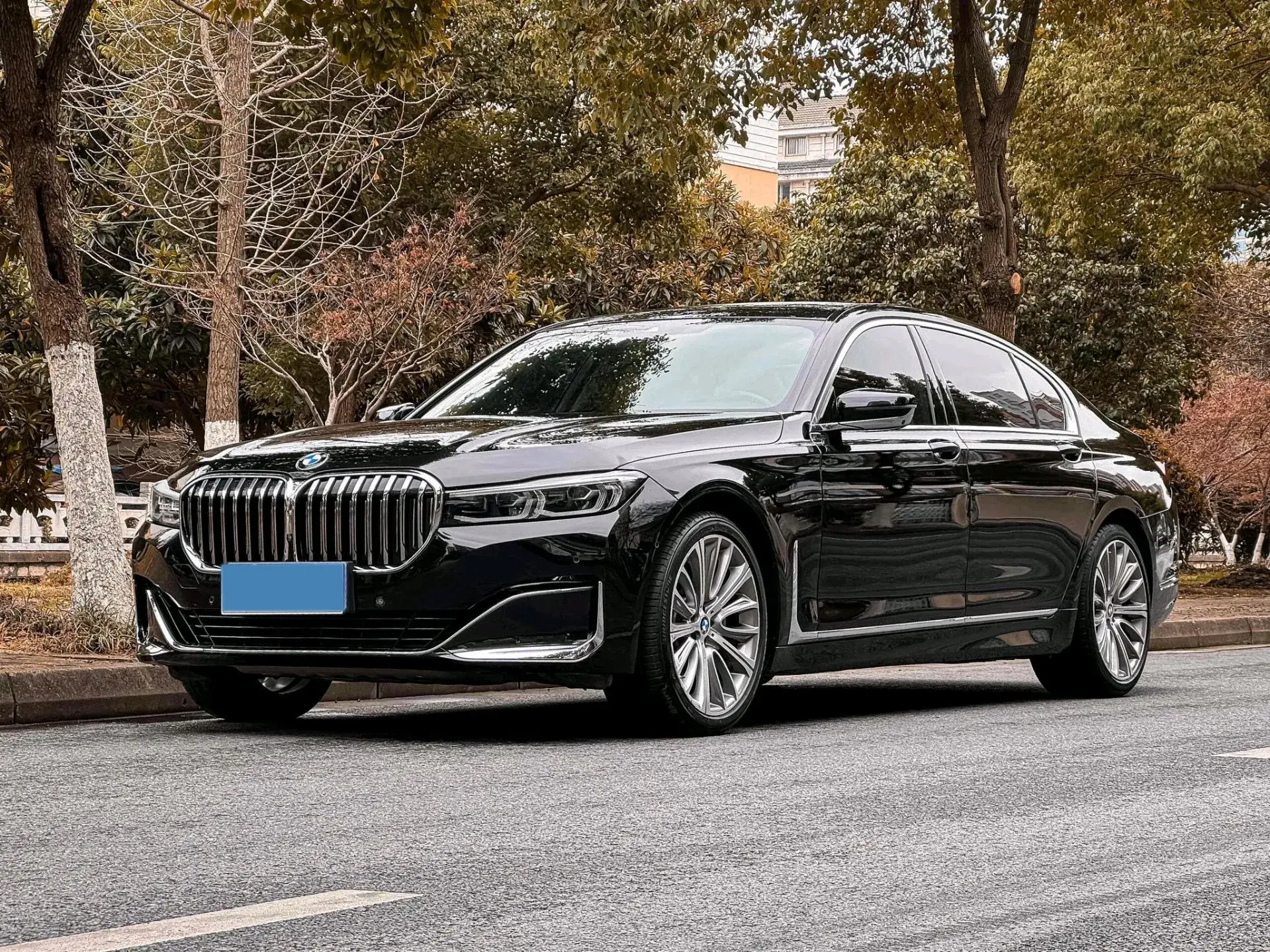 2019 BMW 7 view 1
