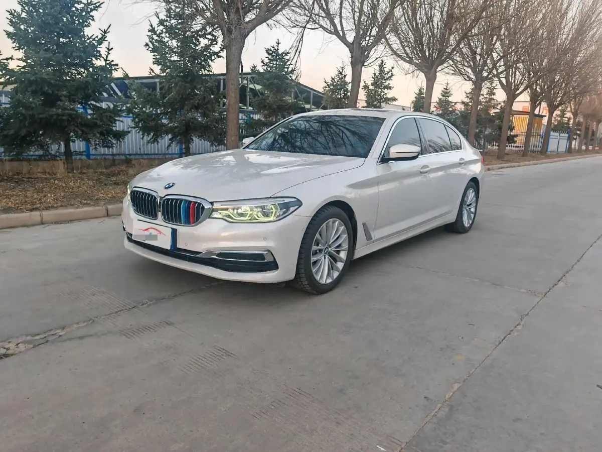 2020 BMW 5 Series 2.0T 252HP L4 8AT