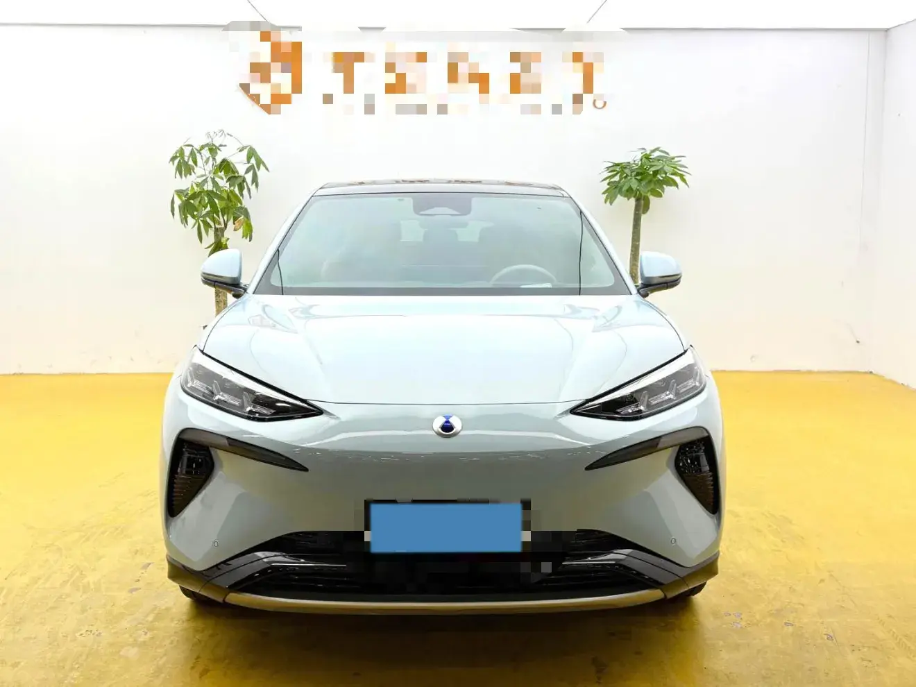 2024 DENZA N7 thumbnail 2