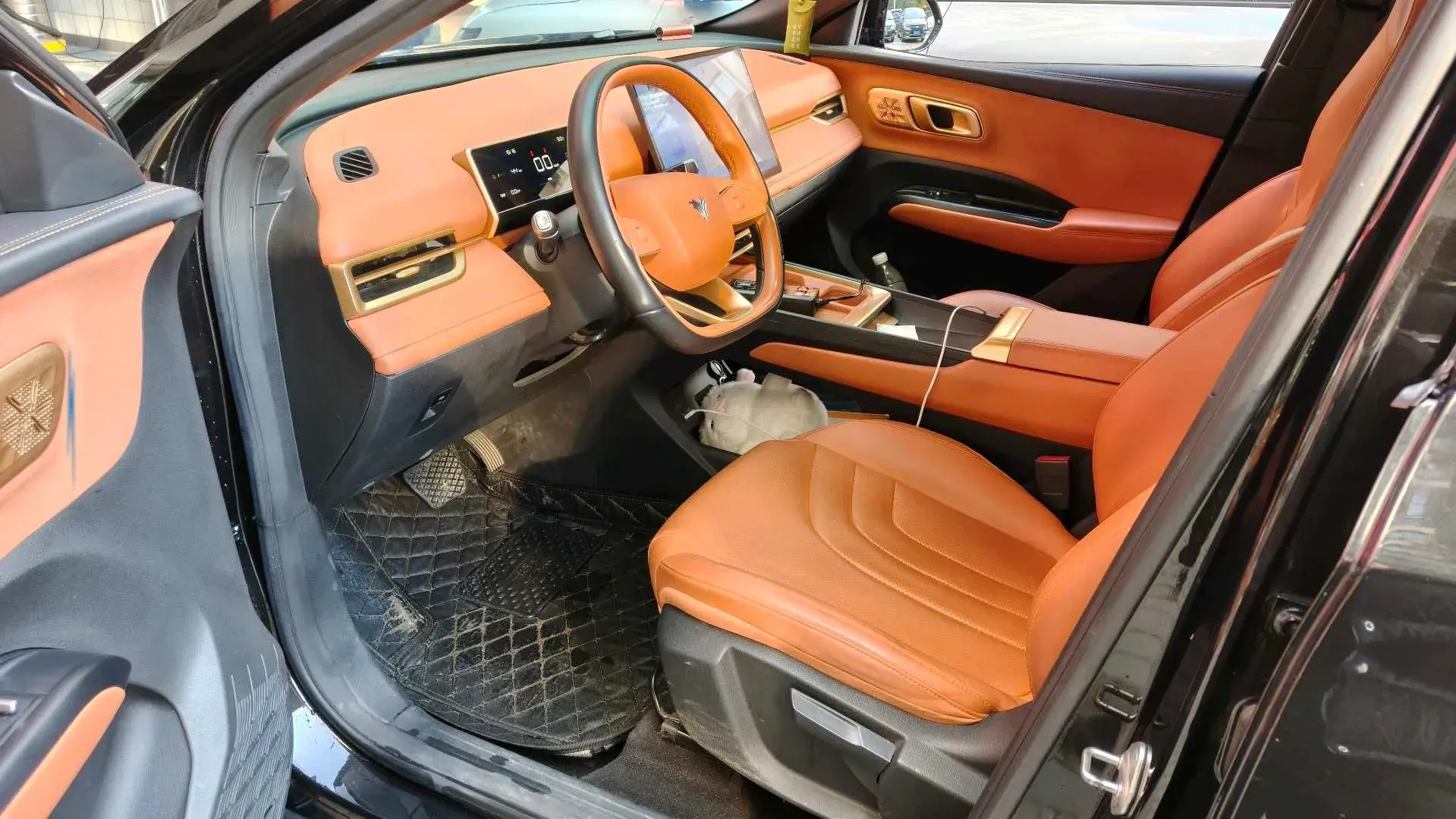 2023 NETA X thumbnail 4