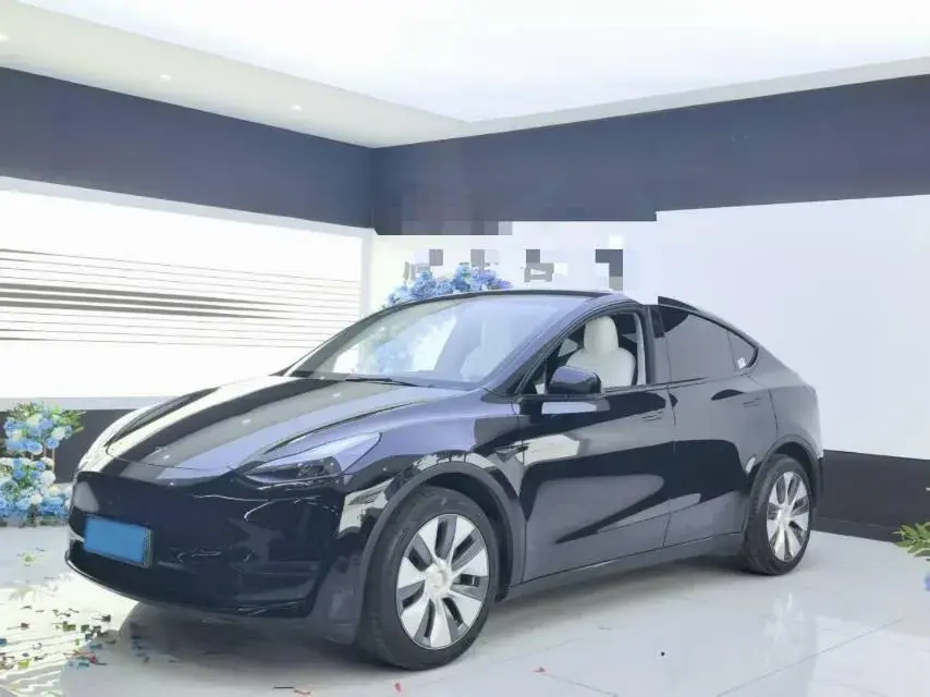 2022 TESLA MODEL view 1