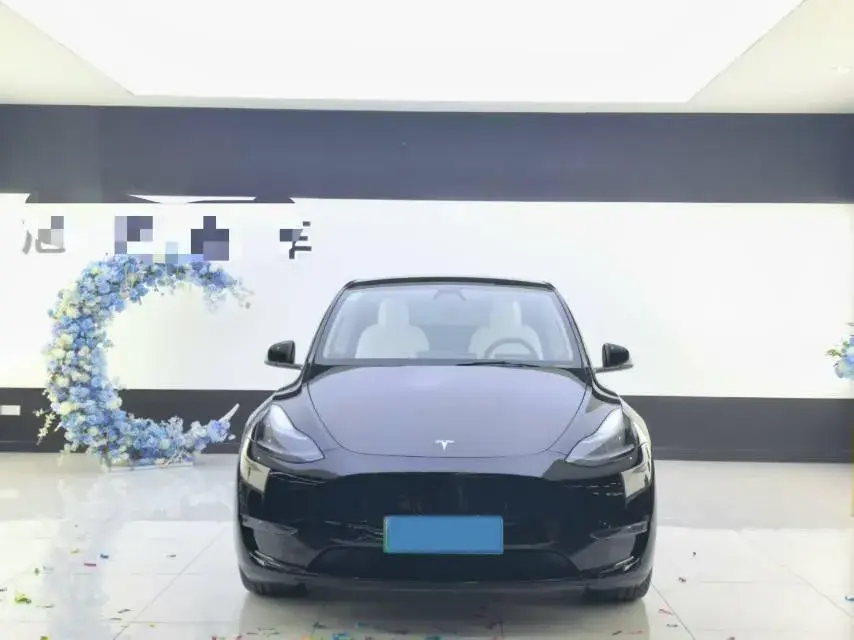 2022 TESLA MODEL thumbnail 2