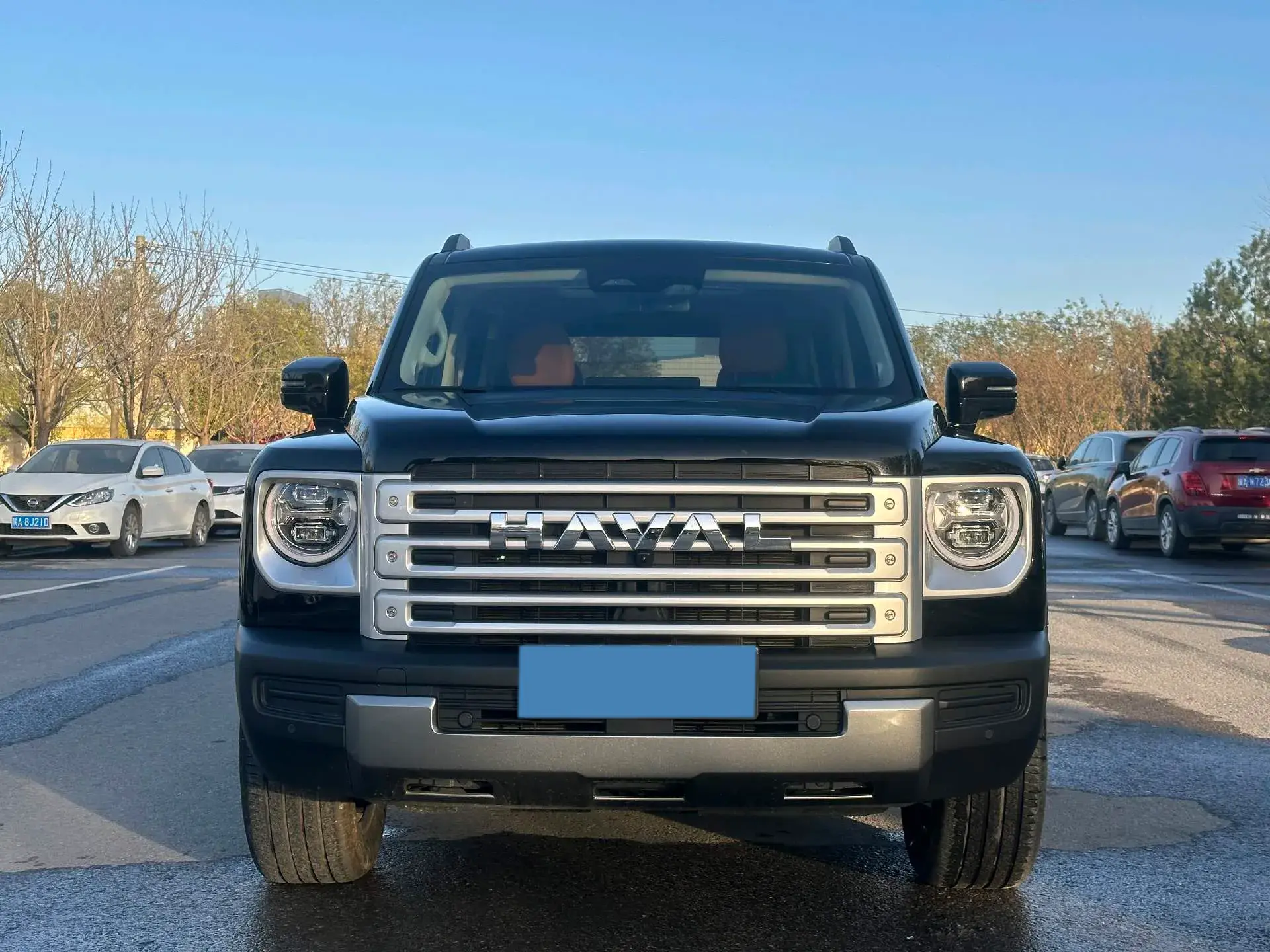 2024 HAVAL RAPTOR thumbnail 2