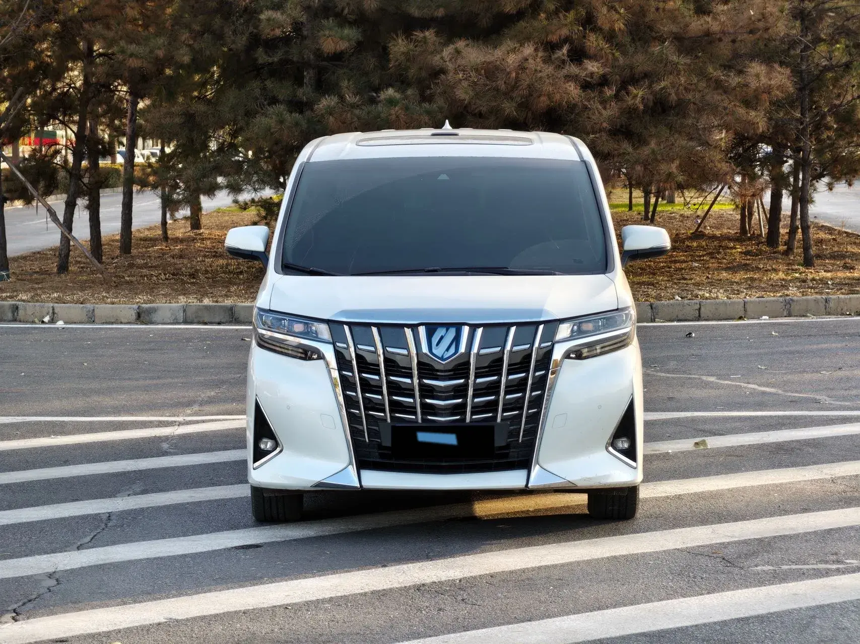 2021 TOYOTA ALPHARD thumbnail 2