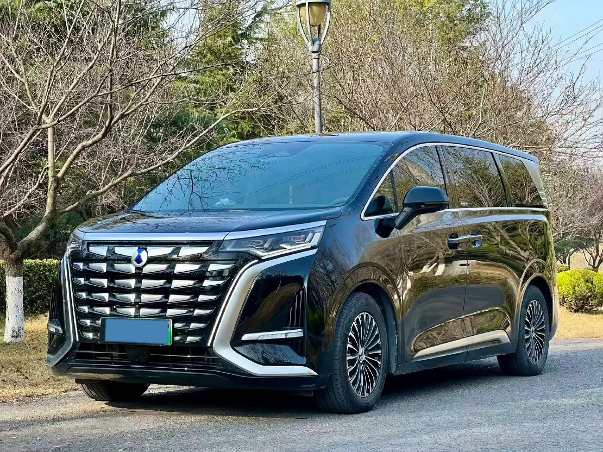 2022 Denza D9 1.5T 139HP L4 E-CVT PHEV 40.06KWH