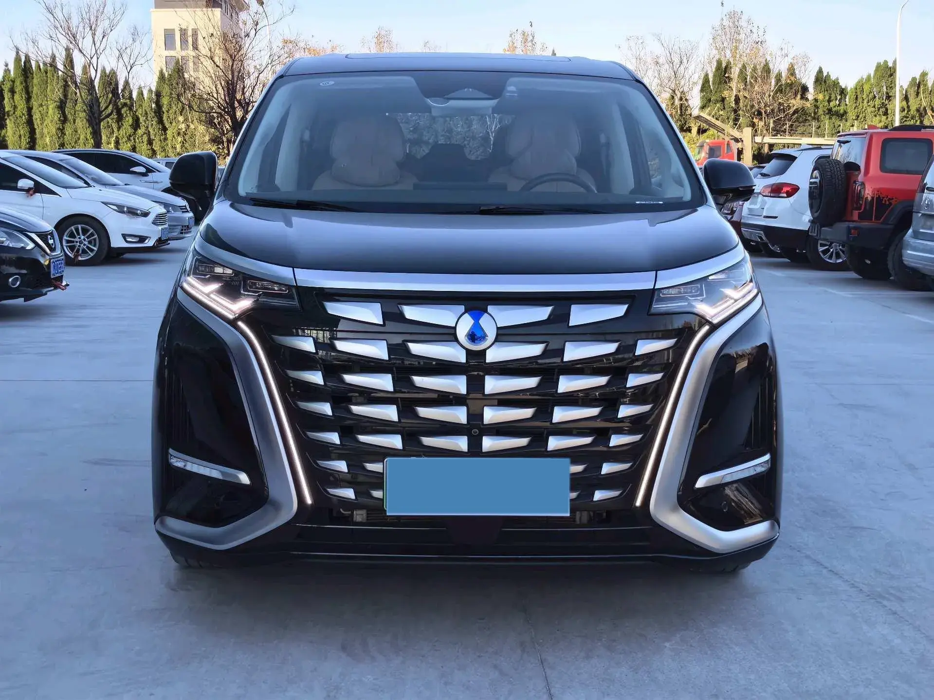 2024 DENZA D9 thumbnail 2