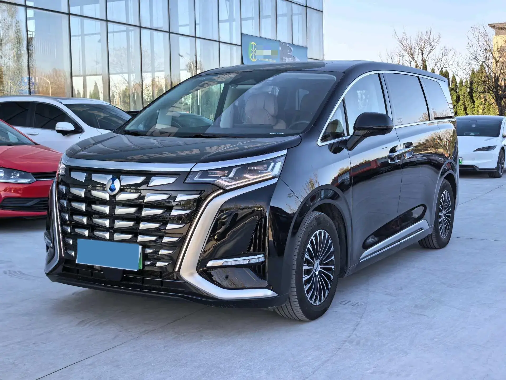 2024 DENZA D9 view 1