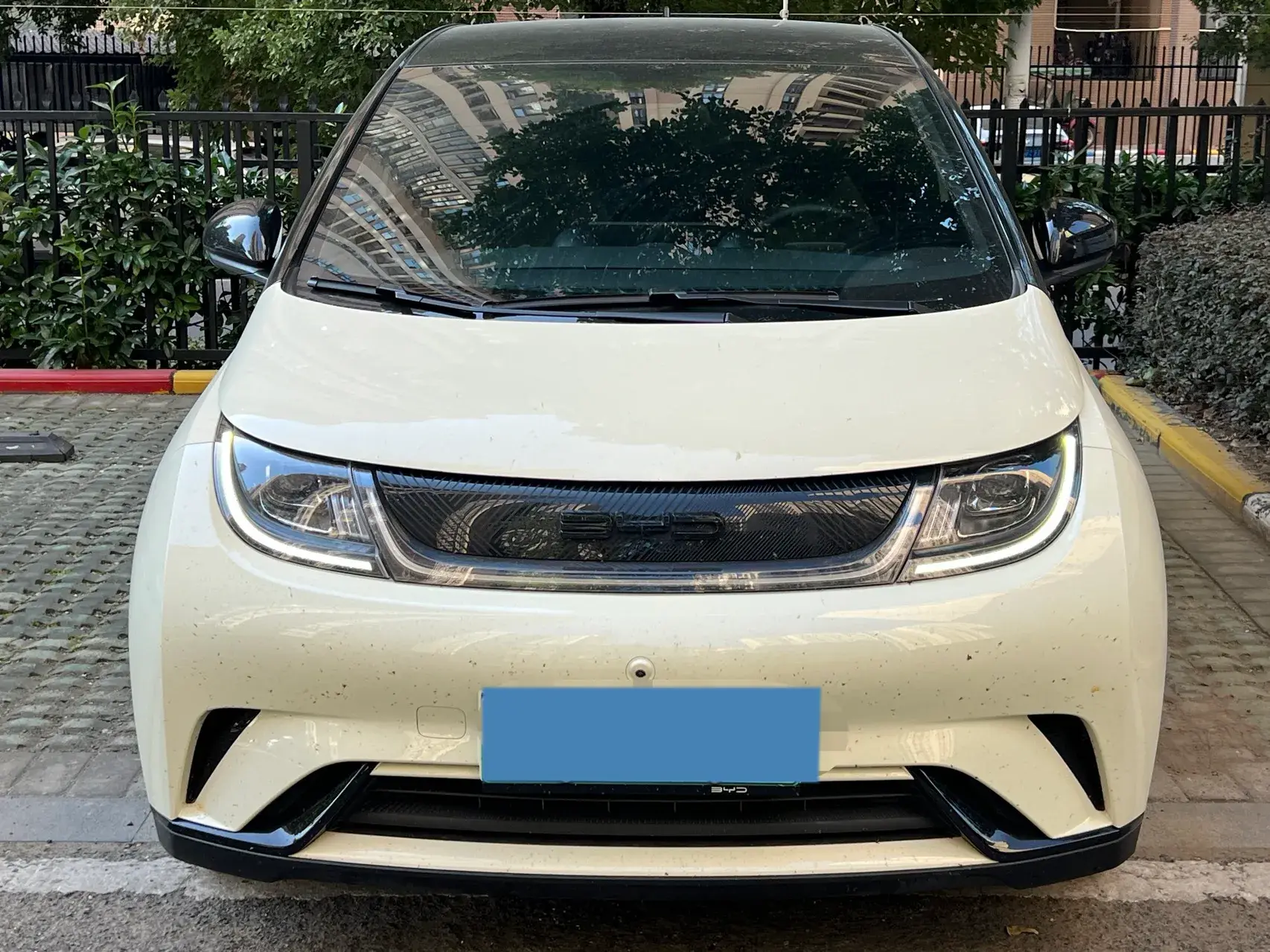 2021 BYD DOLPHIN thumbnail 2