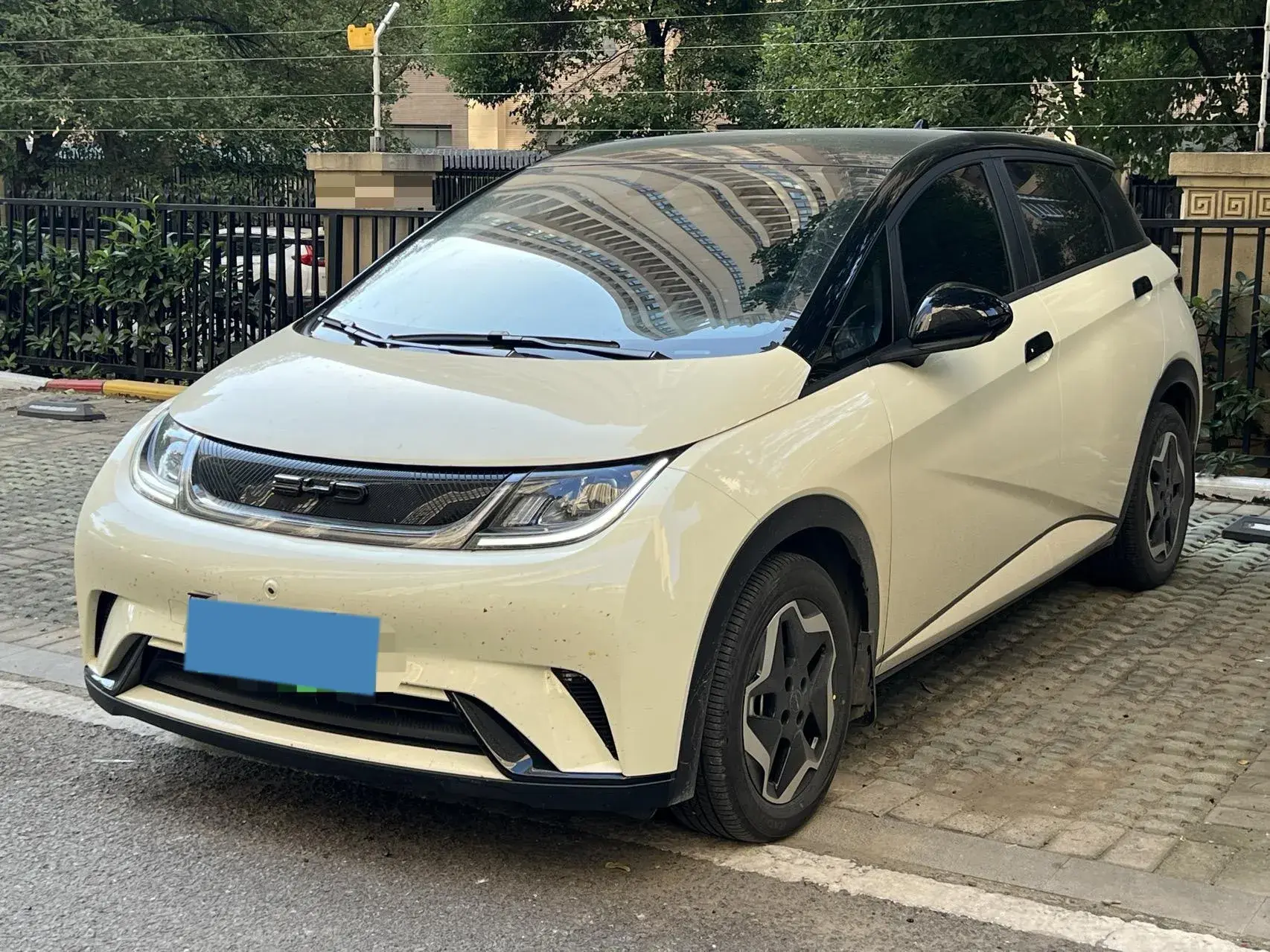 2021 BYD DOLPHIN view 1