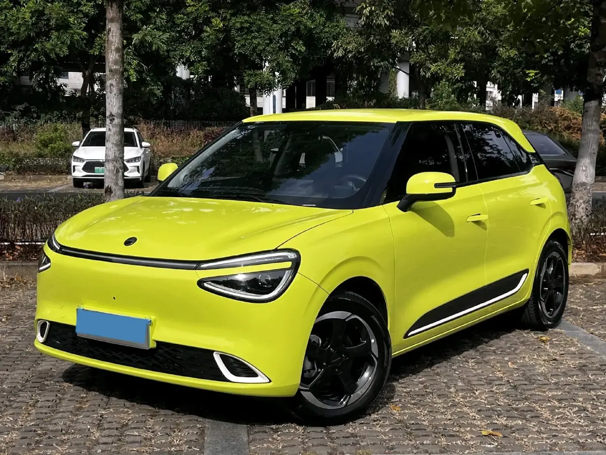 2024 DongFeng Nammi 01 BEV 42.3KWH