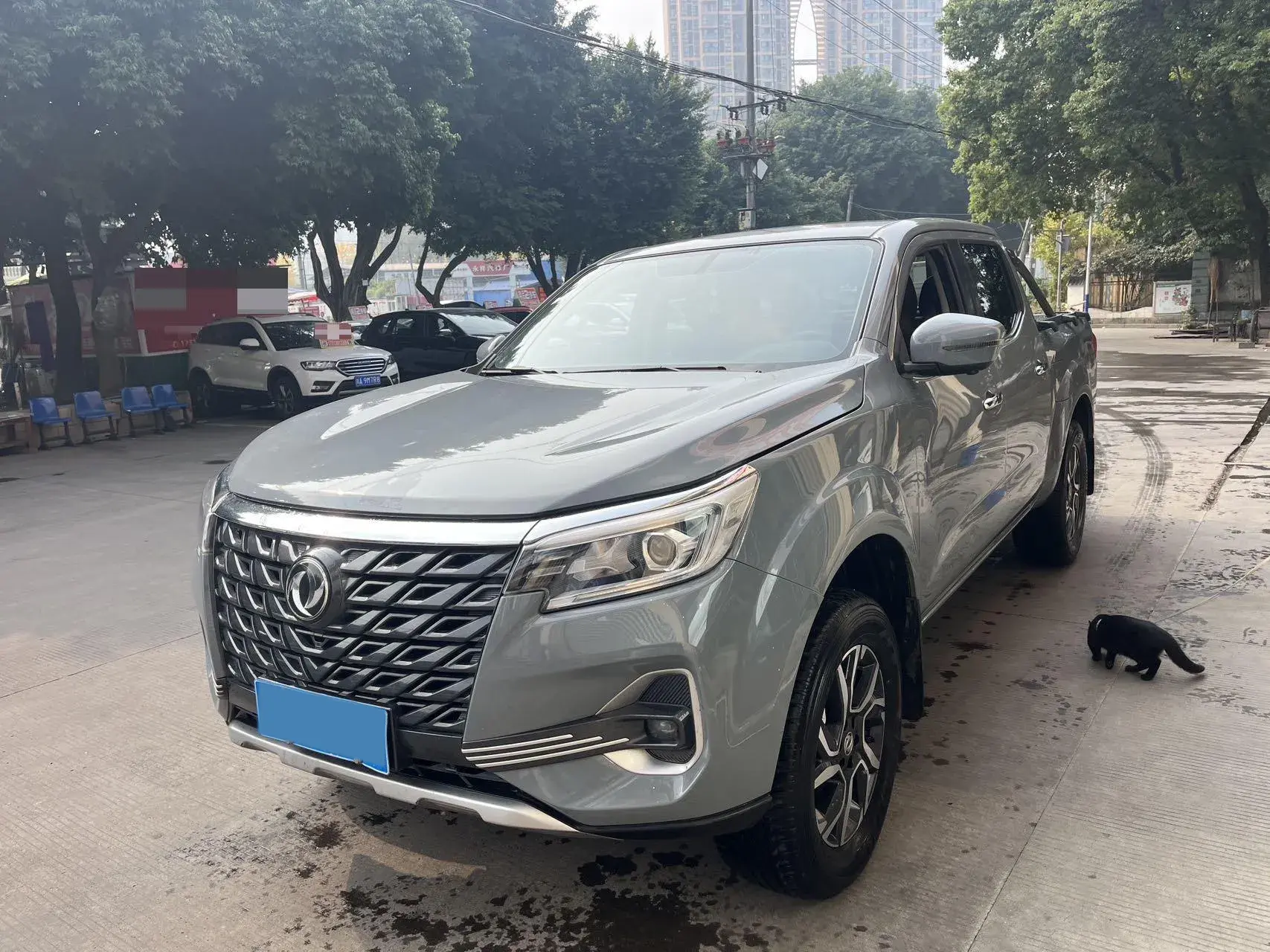 2022 DONGFENG RUIQI view 1