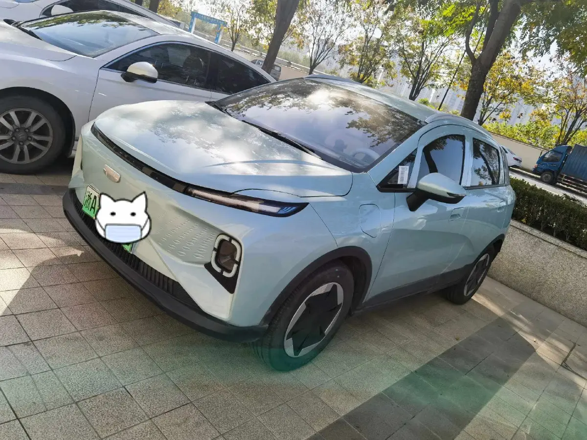 2024 Geometry E BEV 29.67KWH