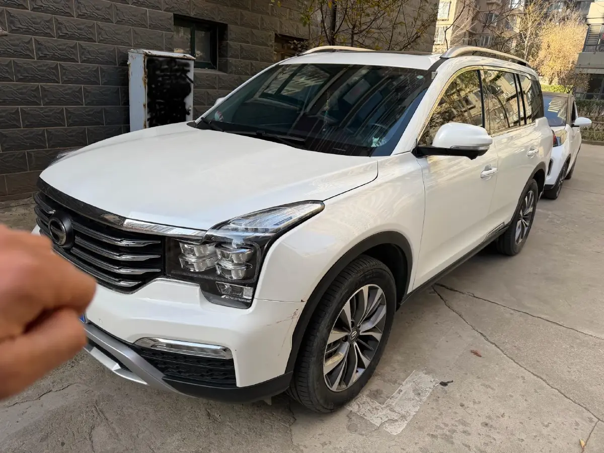 2019 GAC Trumpchi GS8 2.0T 252HP L4 6AT