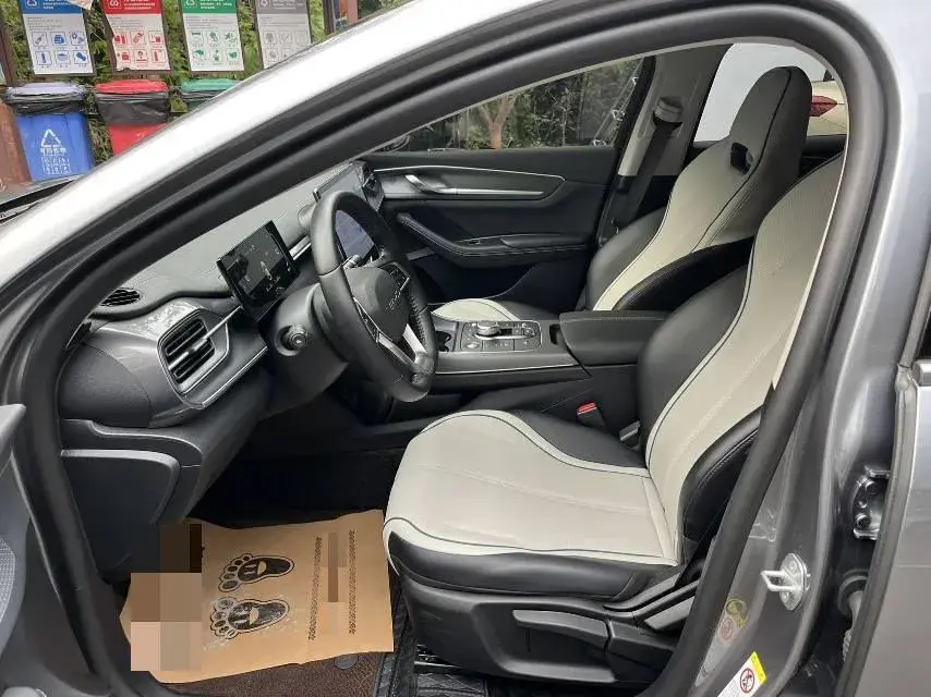 2024 BYD DESTROYER thumbnail 2