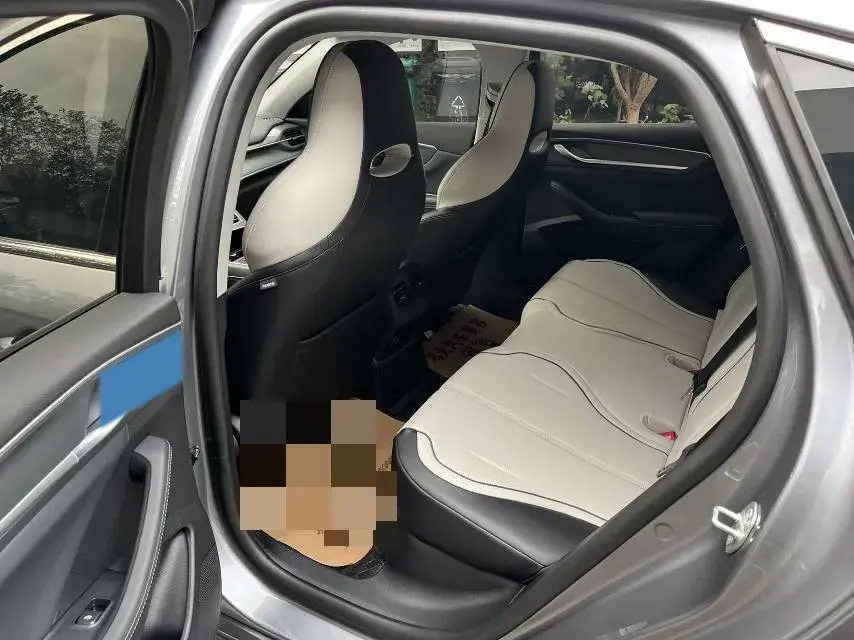 2024 BYD DESTROYER thumbnail 4