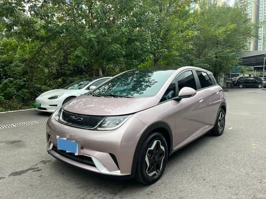 2021 BYD Dolphin BEV 44.9KWH