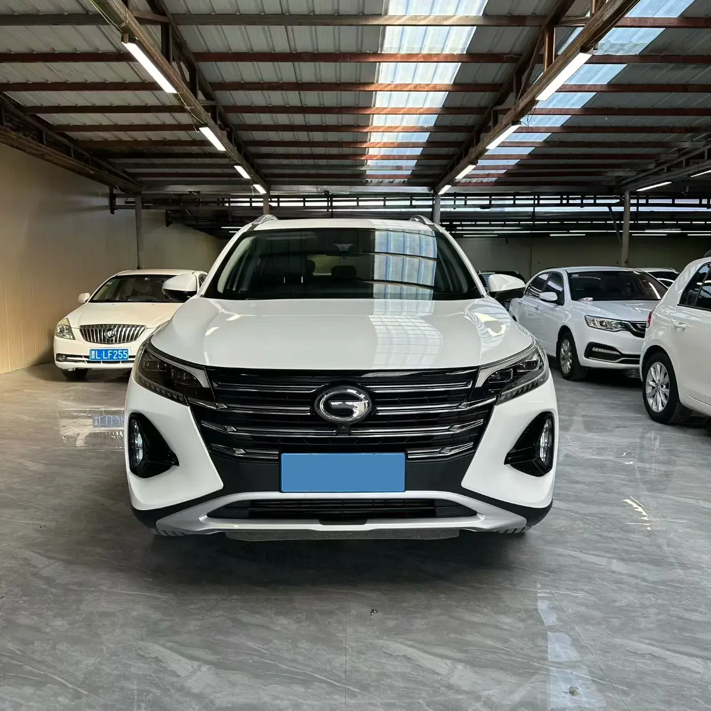 2020 GAC TRUMPCHI thumbnail 2