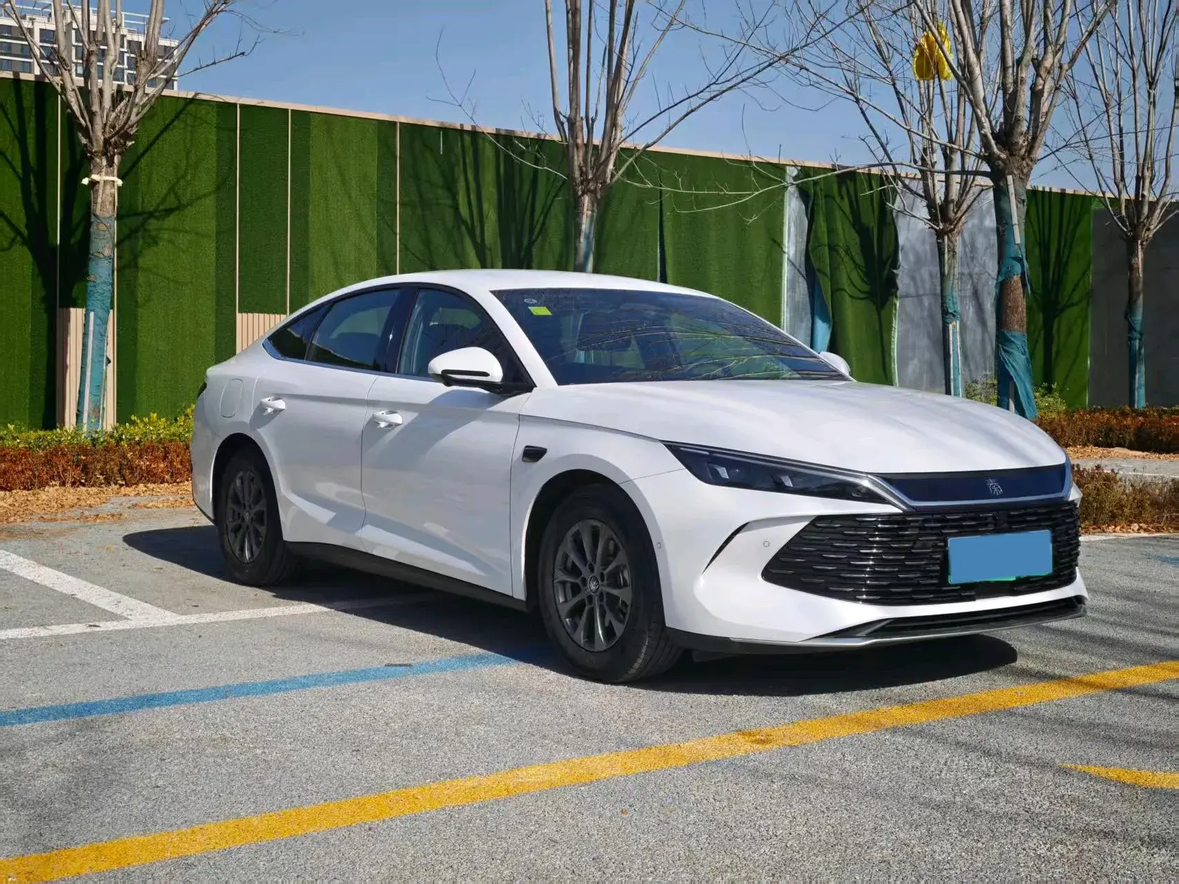 2025 BYD QINL thumbnail 3