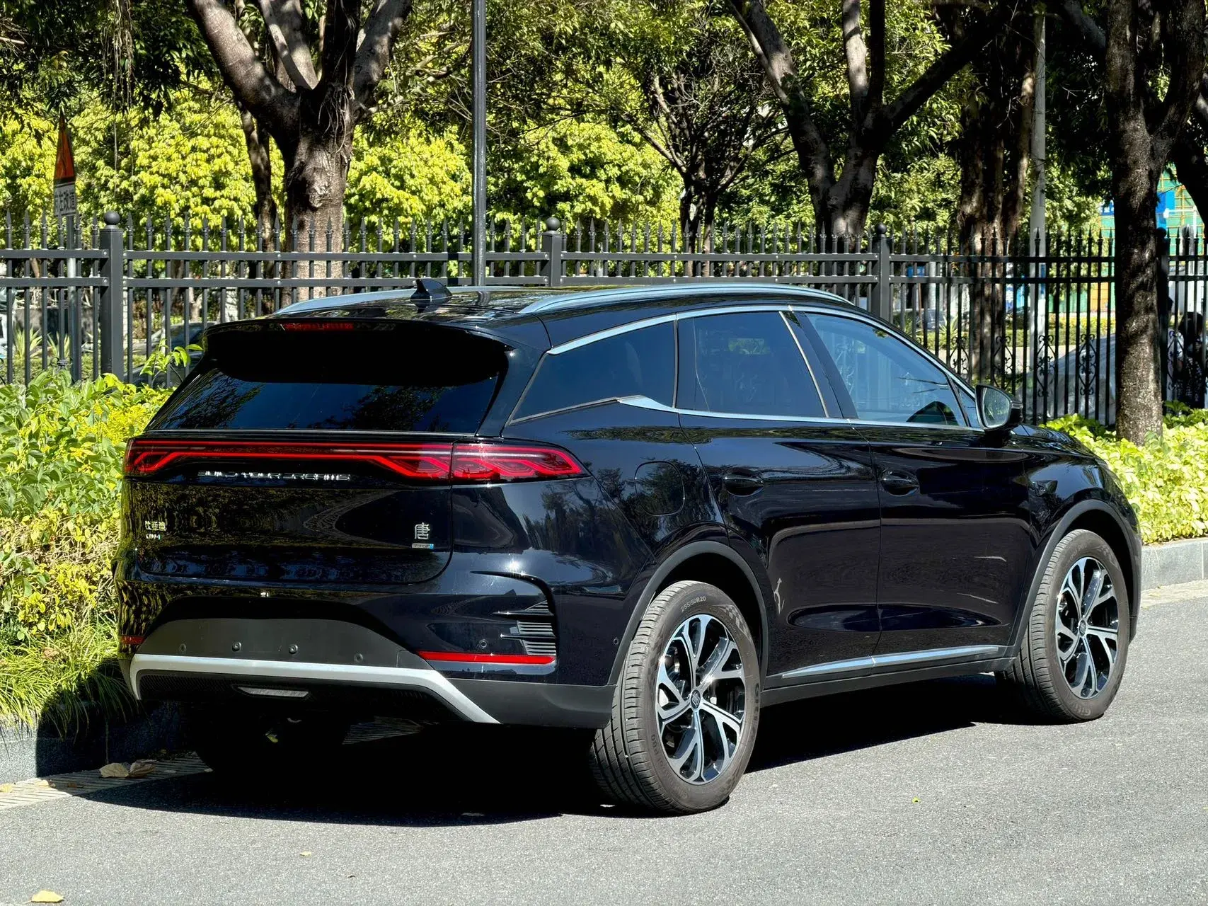 2025 BYD TANG thumbnail 4